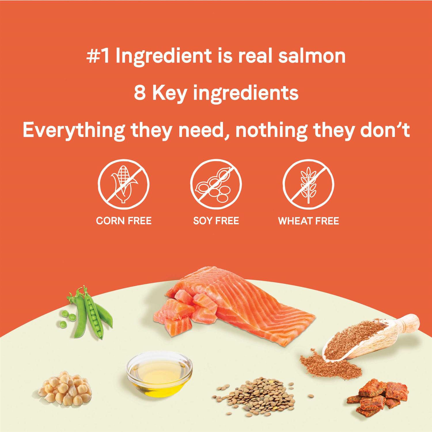 Canidae Pure Petite Small Breed Salmon Puppy Dry Dog Food - Nail Gallerys