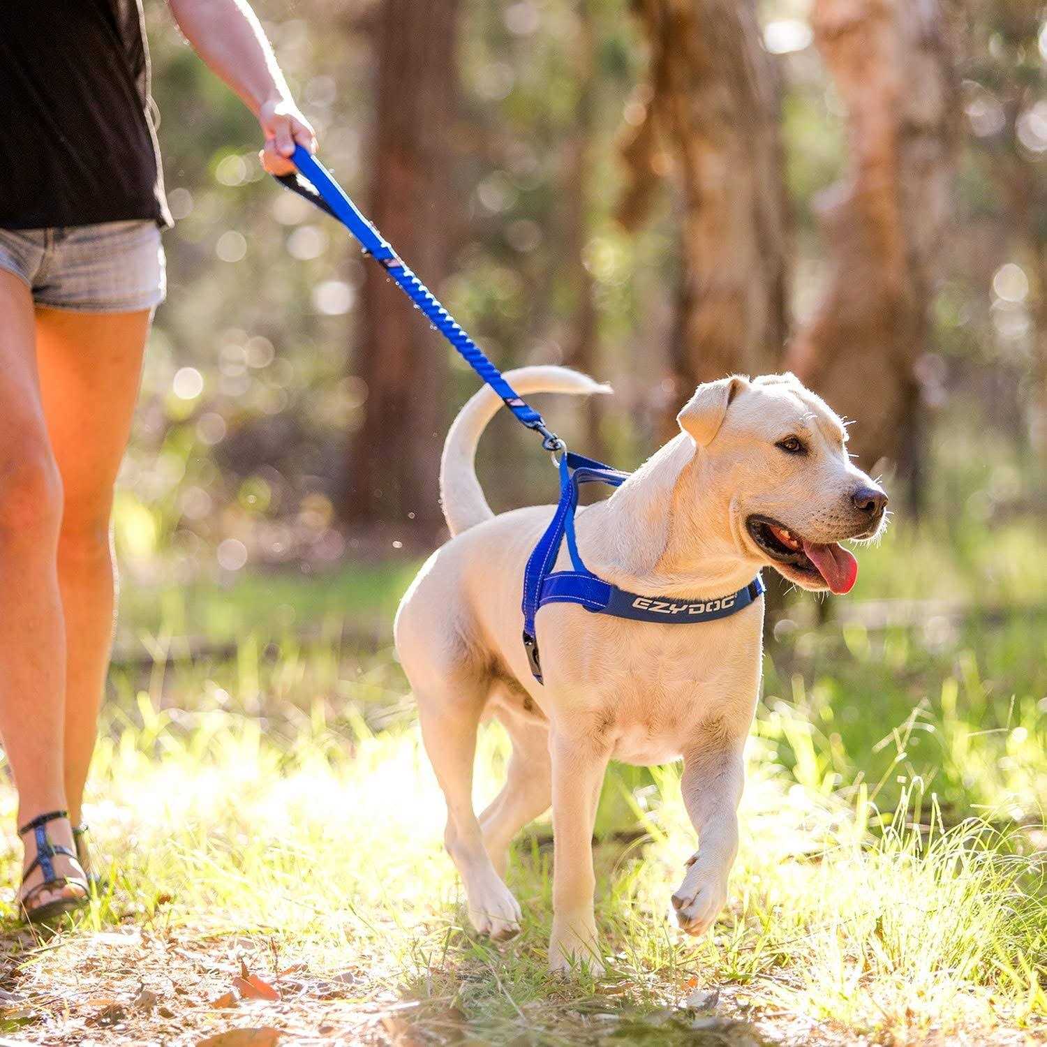 EzyDog Zero Shock Dog Leash - Nail Gallerys