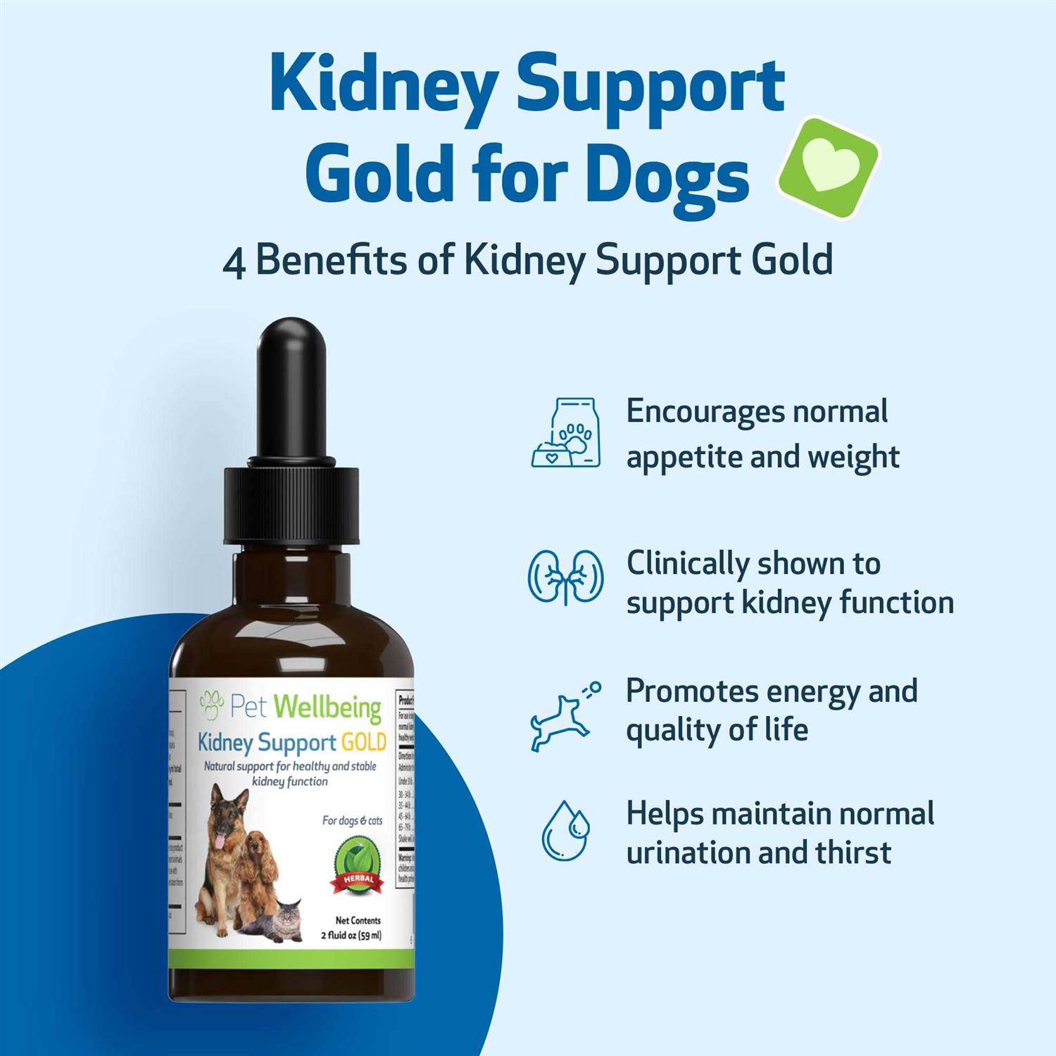 Pet Wellbeing Kidney Support Gold for Dogs - Nail Gallerys