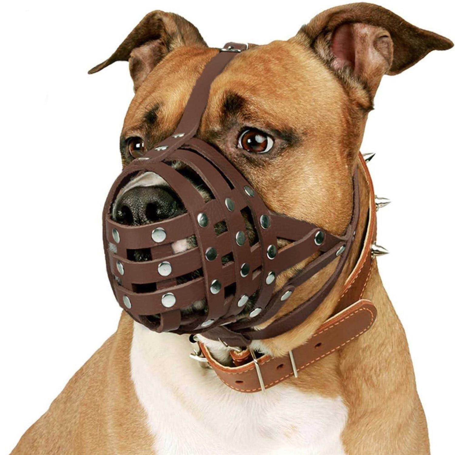 CollarDirect Dog Muzzle Pitbull Amstaff Basket Genuine Leather Staffordshire Terrier - Nail Gallerys