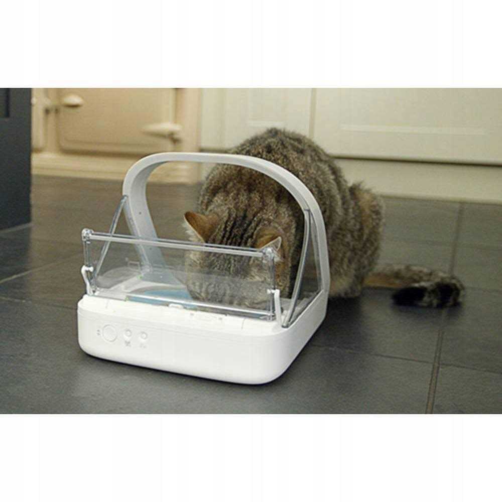 Surefeed Microchip Pet Feeder - Nail Gallerys