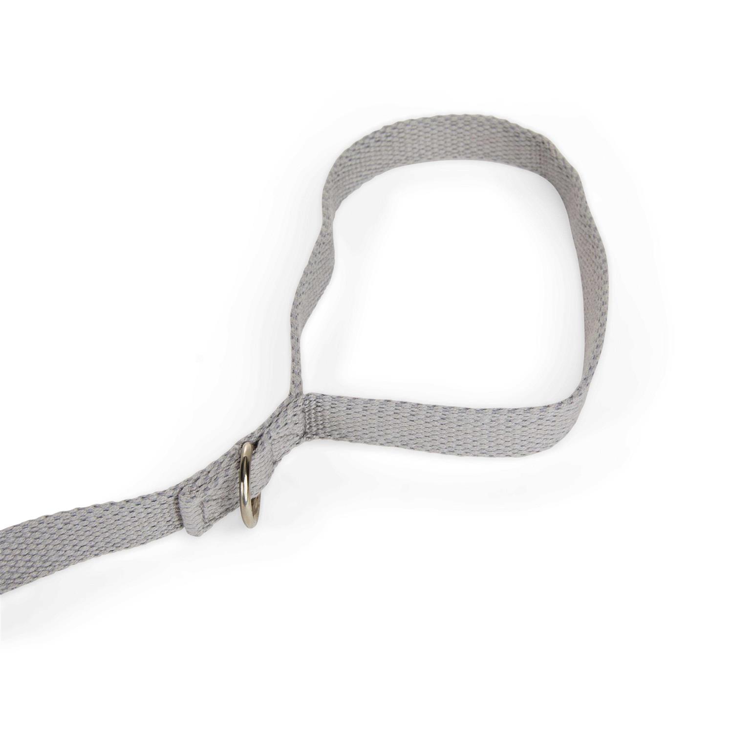 EveryYay Settin’ the Pace Adjustable Recall Training 5/8 Dog Lead - Nail Gallerys