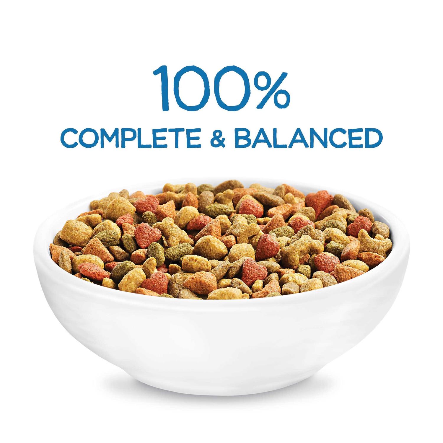 Purina Beneful Healthy Puppy Dog Dry Food Chicken - Nail Gallerys