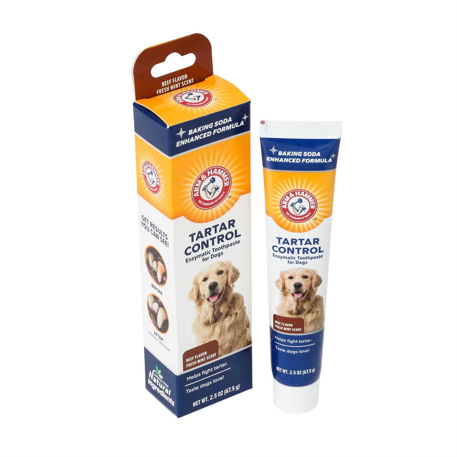 Arm & Hammer Tartar Control Enzymatic Toothpaste for Dogs - Nail Gallerys