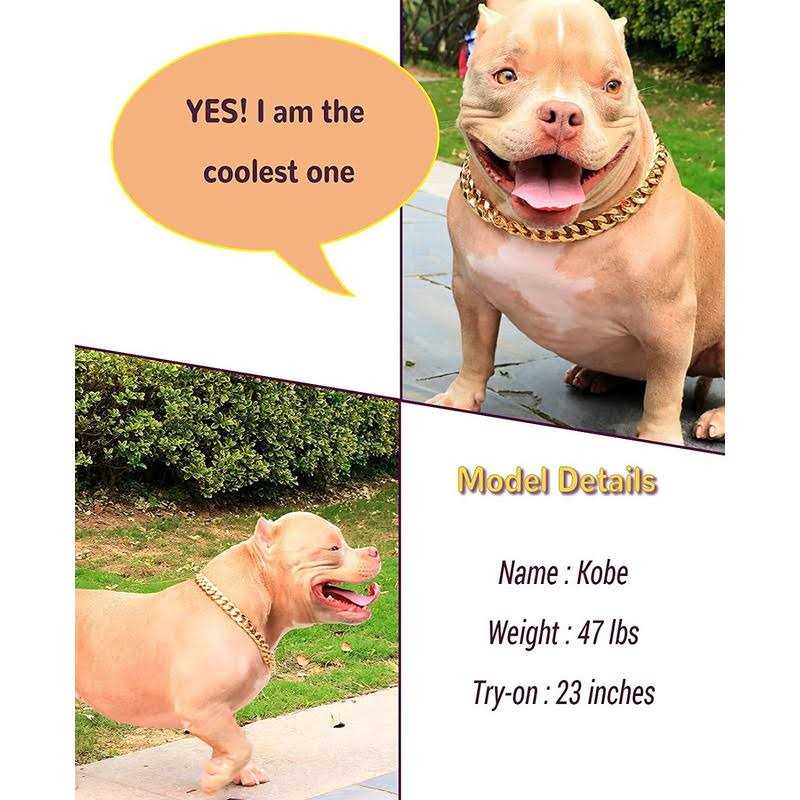 PP cOLOR gold chain Dog collar-34 Width cuban Link Dog Necklace - Nail Gallerys