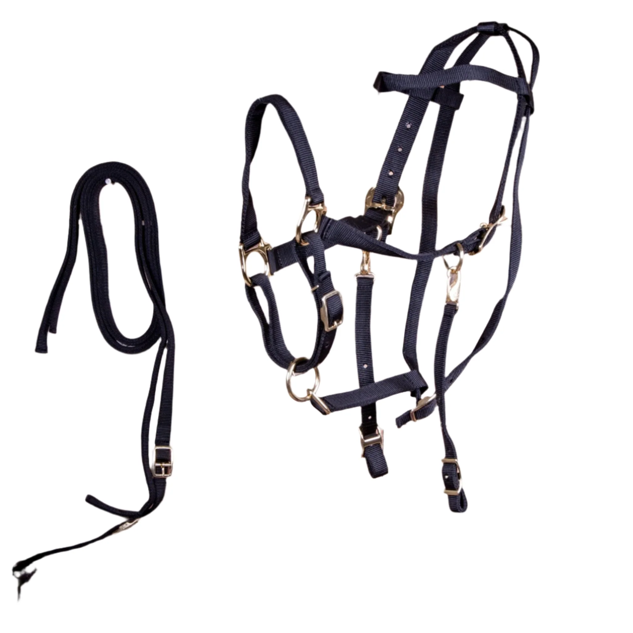 Nylon Combination Horse Halter Bridle with Reins - Nail Gallerys