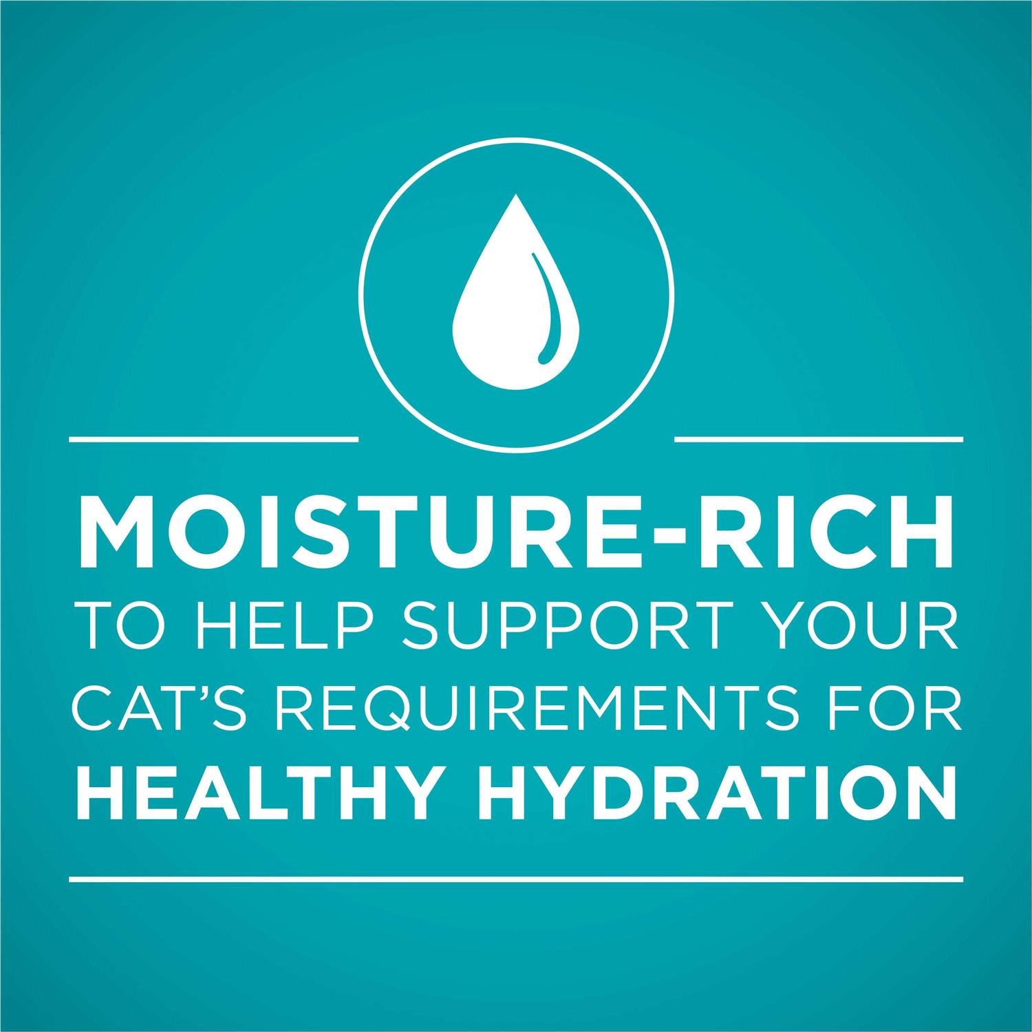 Purina ONE Ideal Weight Wet Cat Food - Nail Gallerys