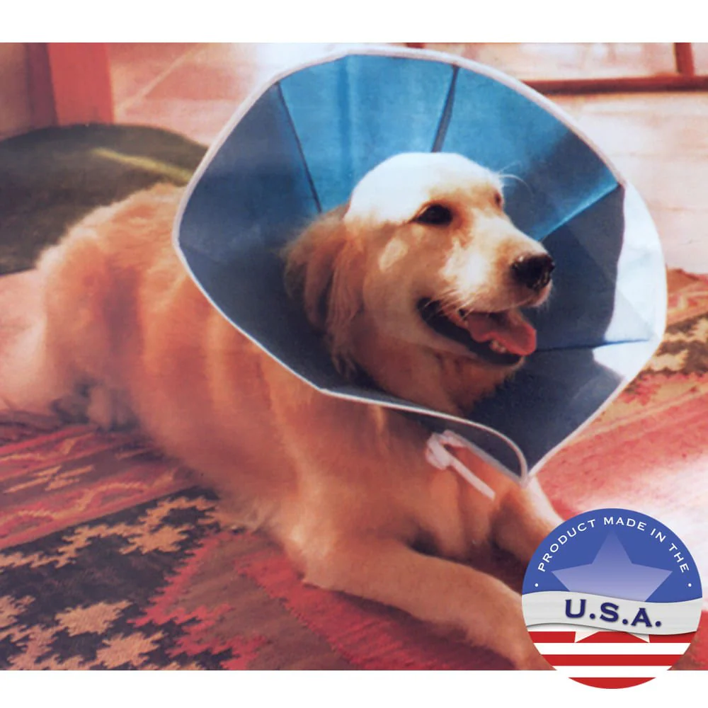 Vet Recovery Collar - Nail Gallerys