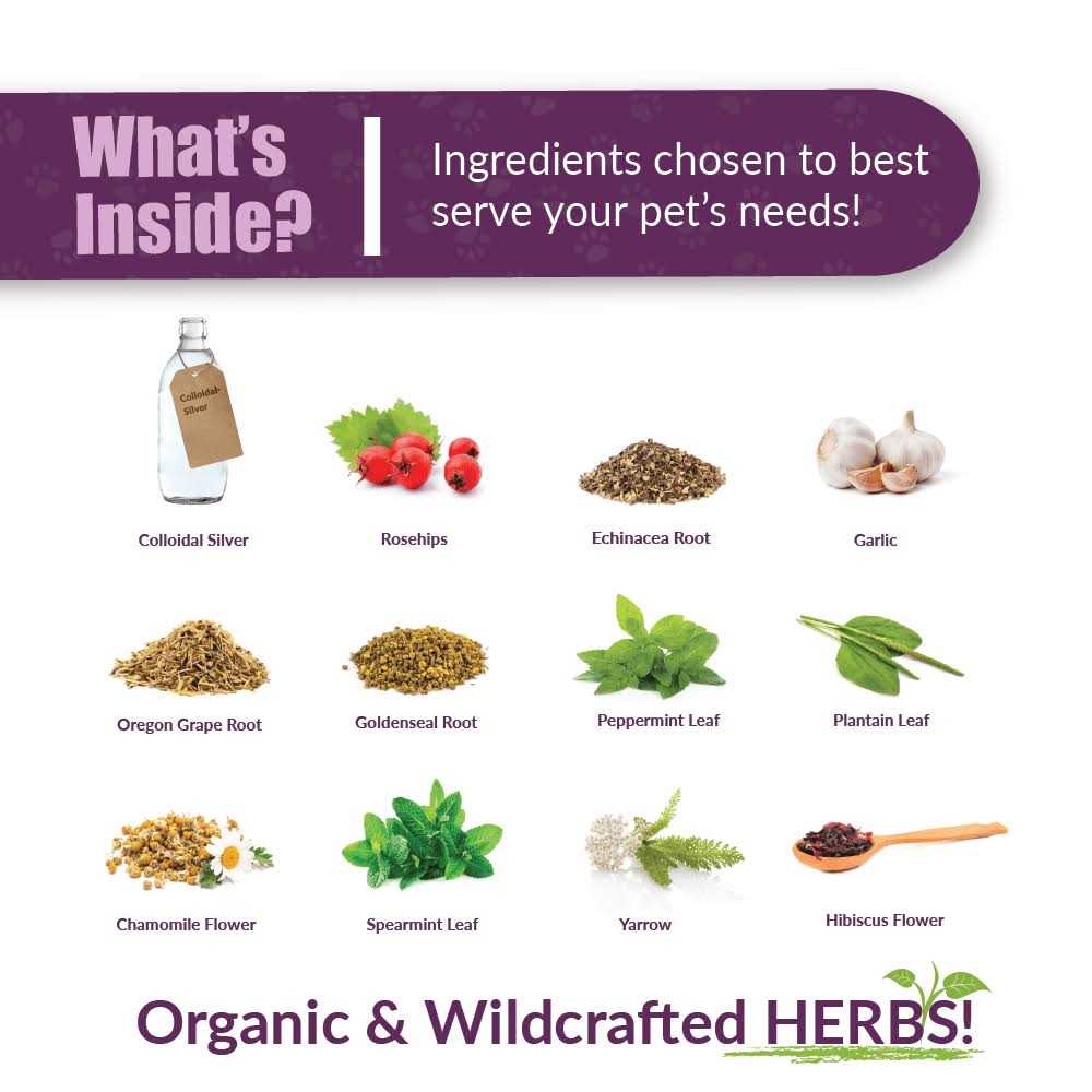 Amber Naturalz Paxaid Digestive & Immune Support - Nail Gallerys