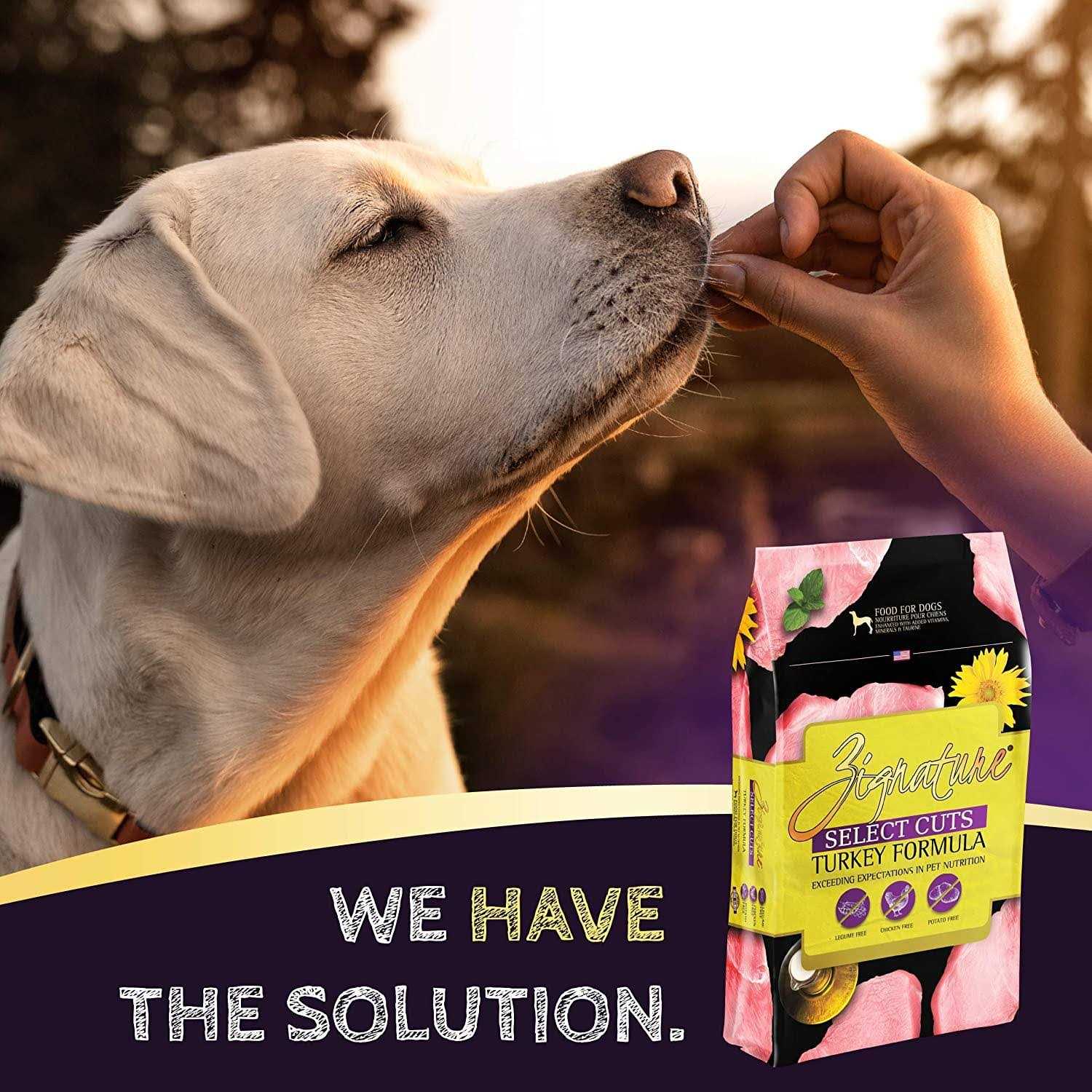 Zignature Select Cuts Turkey Formula Dry Dog Food - Nail Gallerys