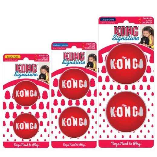 Kong Signature Ball Dog Toy - Nail Gallerys