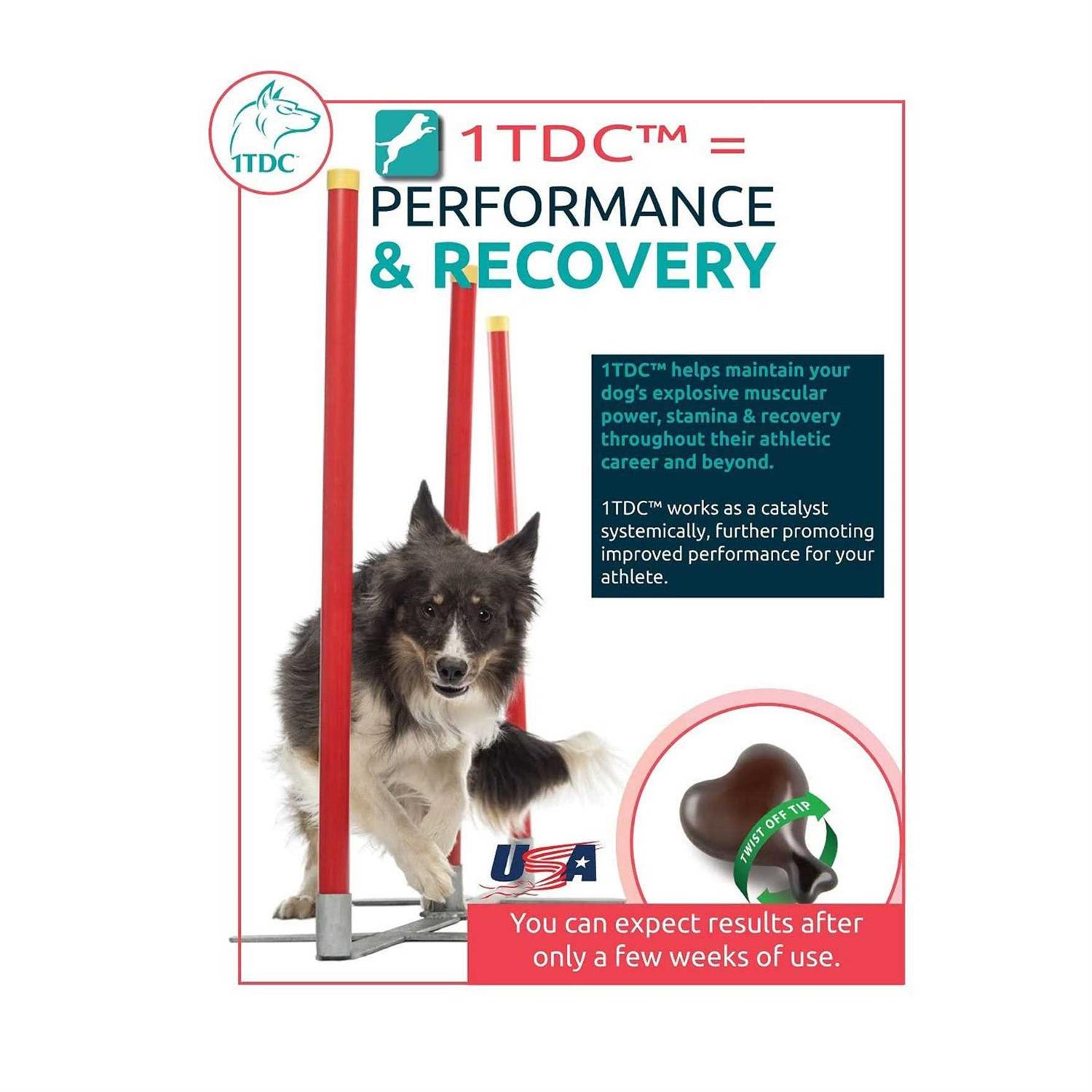 1-TDC Dual Action Periodontal & Joint Health for Cats & Dogs – 60 Soft Gels - Nail Gallerys
