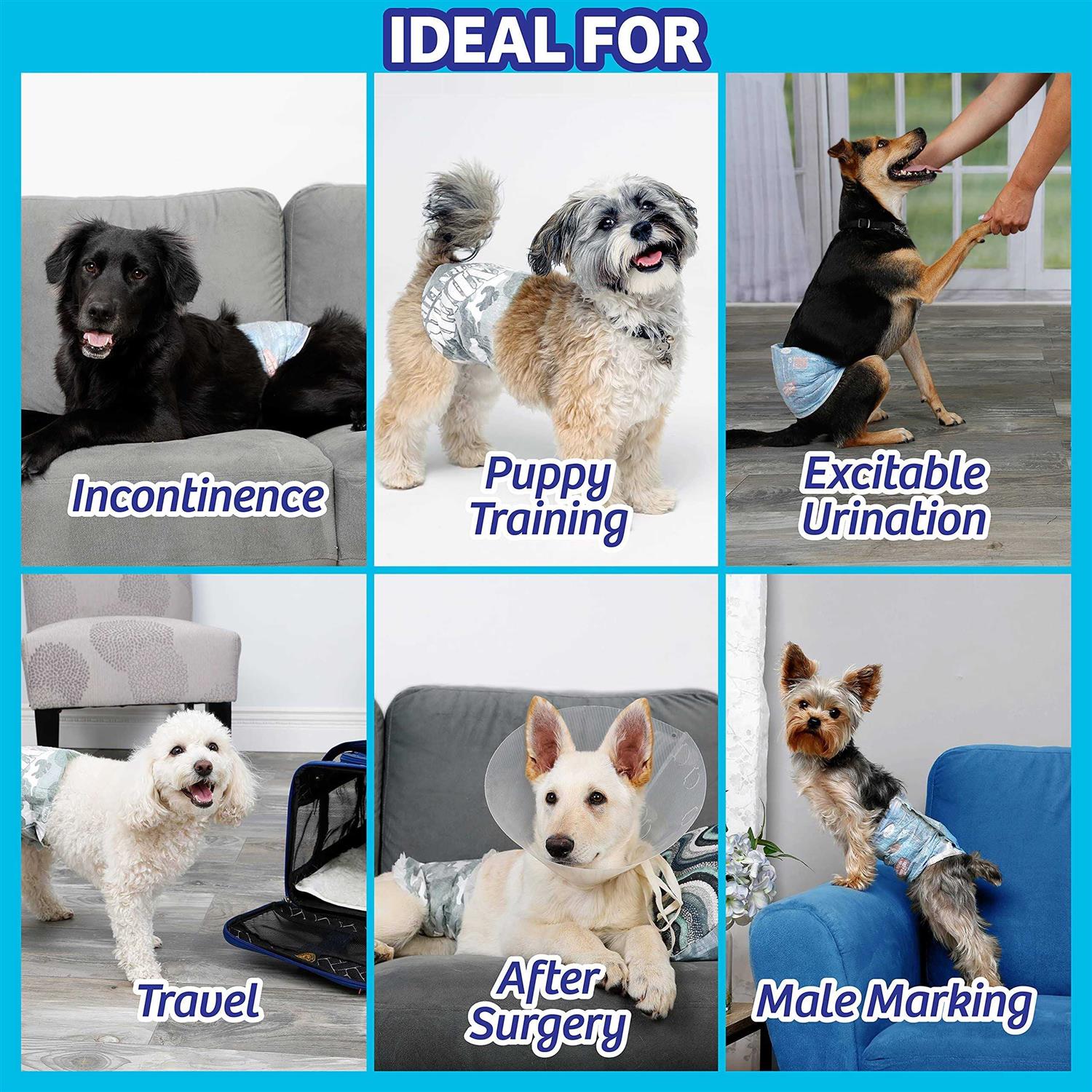 Hartz Disposable Male Dog Wraps Size - Nail Gallerys