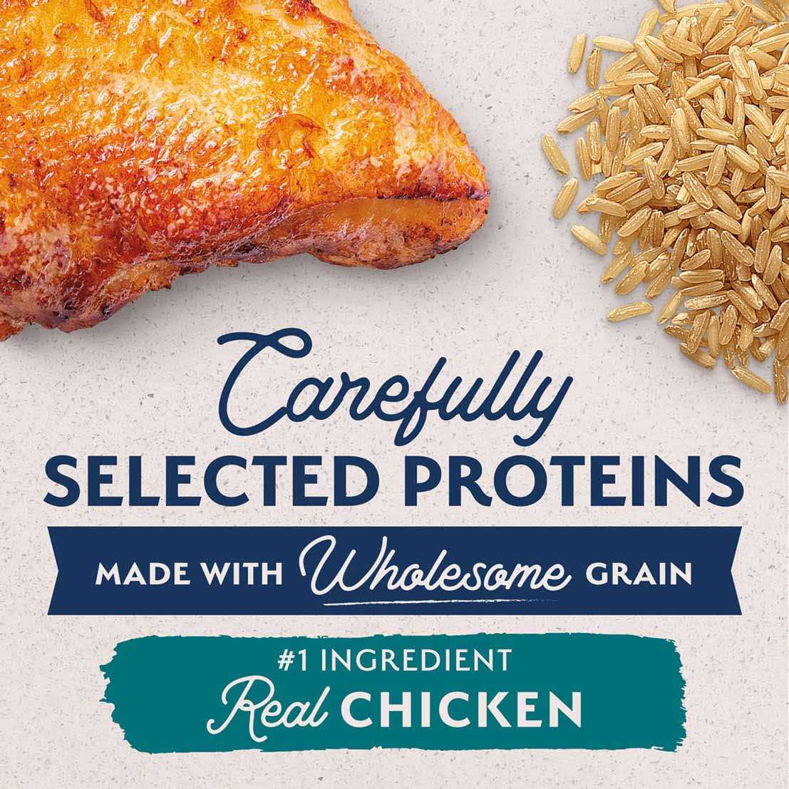 Natural Balance Limited Ingredient Dog Food - Nail Gallerys