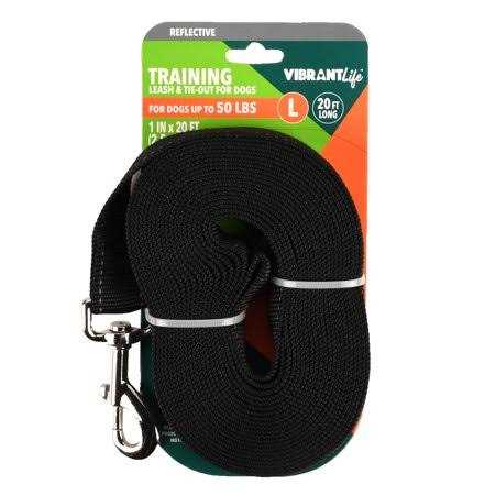 Vibrant Life 20′ Polyester Slip Lead Dog Leash - Nail Gallerys