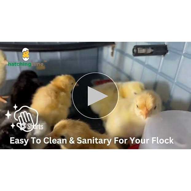 Hatching Time Chick Brooder TIER Addition - Nail Gallerys