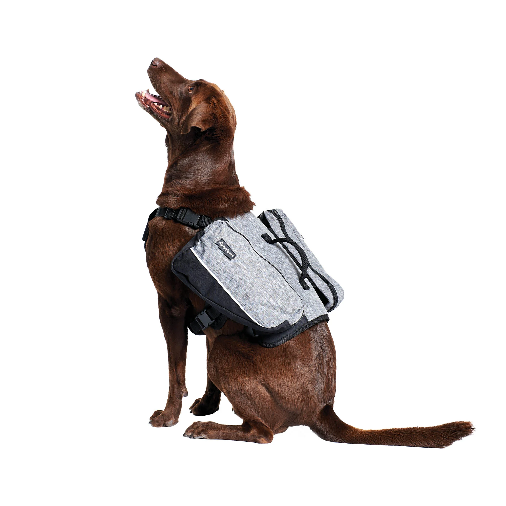 Zippy Paws Lightweight Adventure Backpack, Graphite - Nail Gallerys