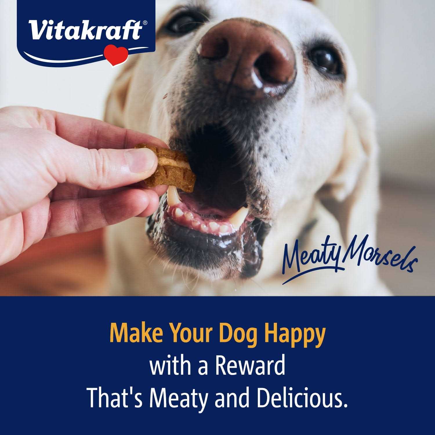 Vitakraft Meaty Morsels Chicken Recipe with Beef & Carrots Dog Treat Mini - Nail Gallerys