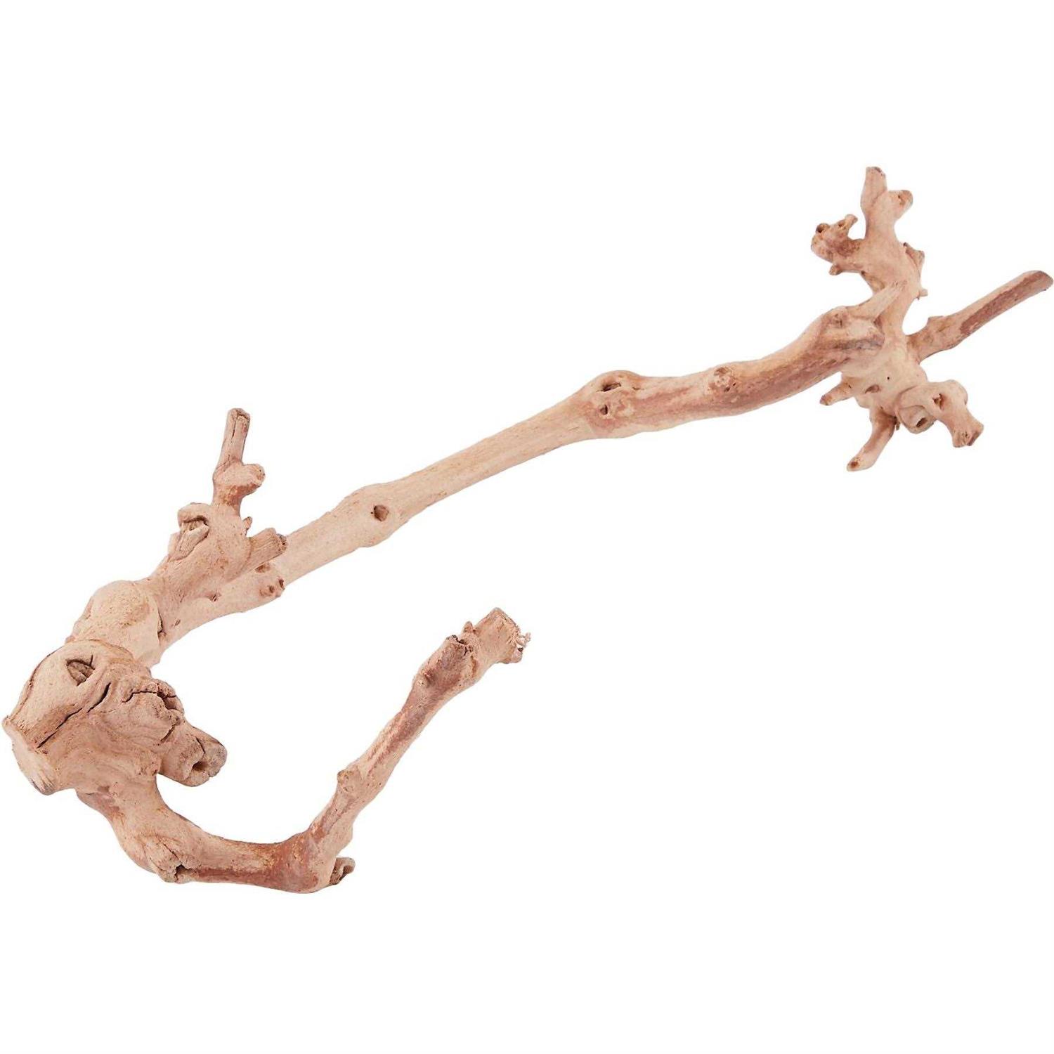 Exo Terra Forest Branch - Nail Gallerys