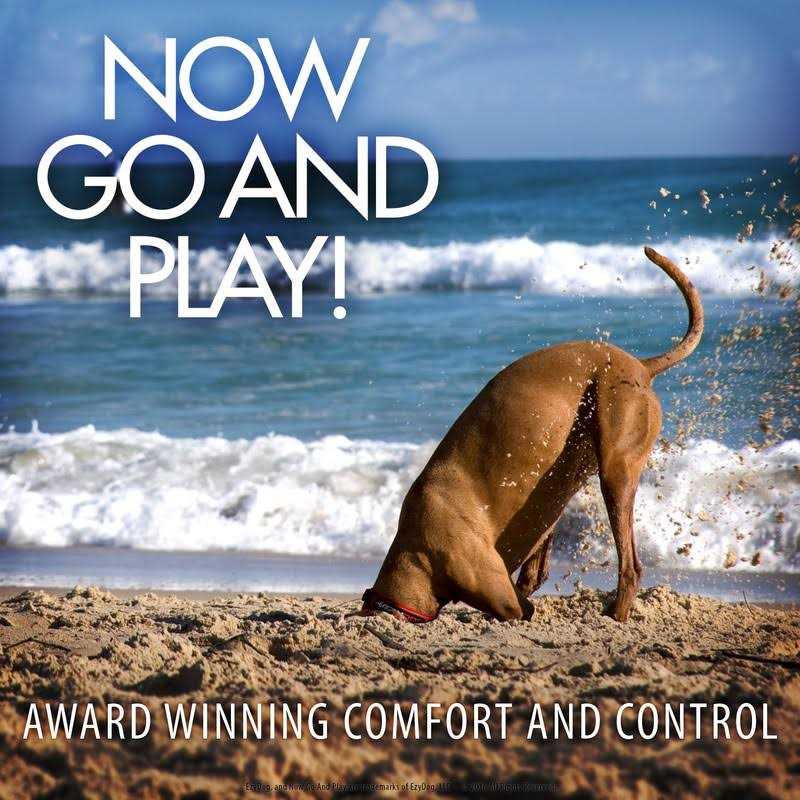 EzyDog Seat Belt Restraint - Nail Gallerys