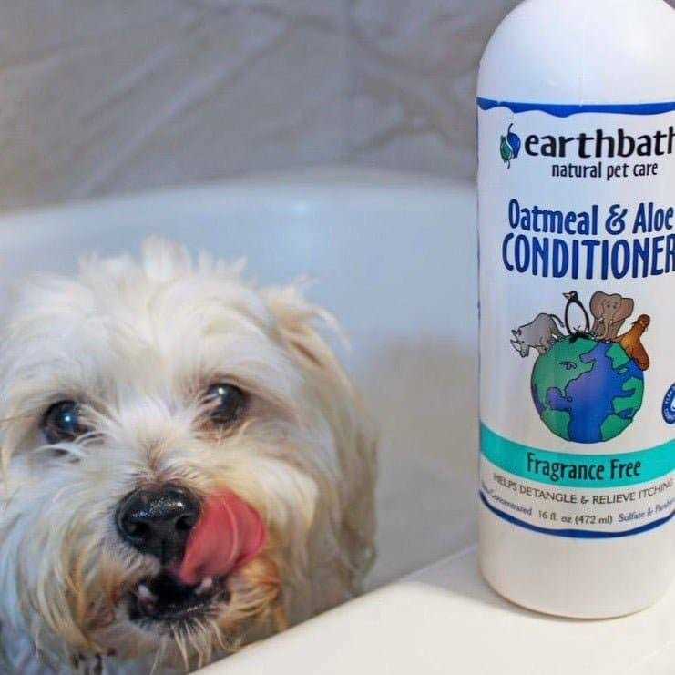 Earthbath Conditioner Oatmeal & Aloe - Nail Gallerys