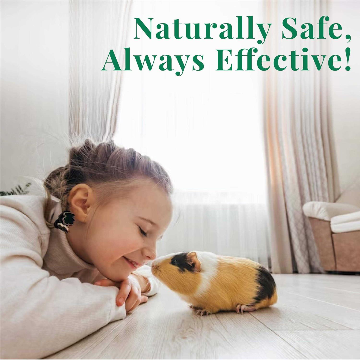 Citrus Magic Pet Foaming Pet Cleanser - Nail Gallerys