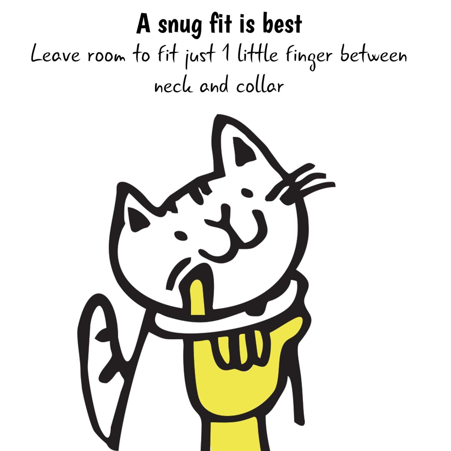 Kittyrama Breakaway Bell Cat Collar - Nail Gallerys