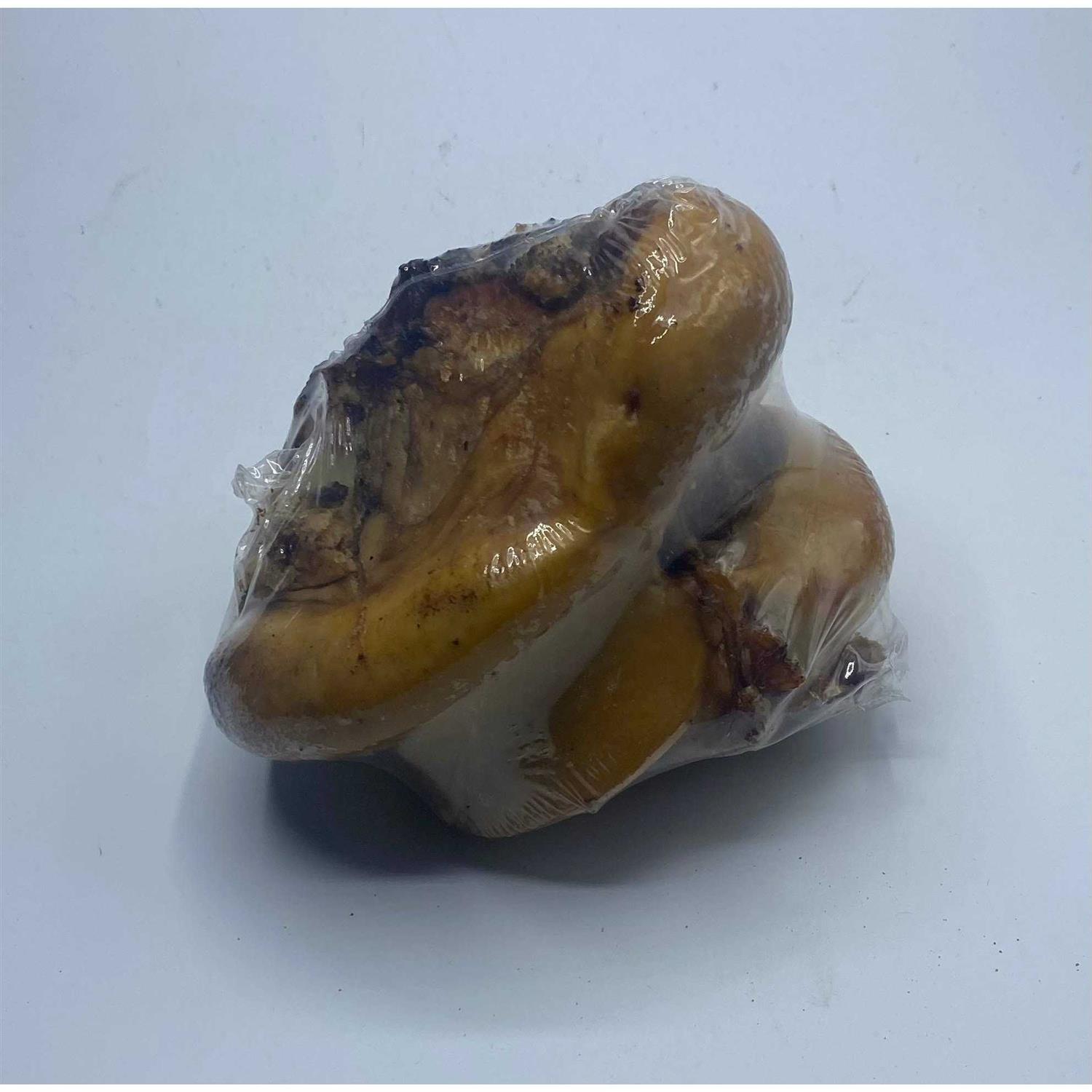 Butcher’s Block Bones Beef Knuckle End Bone - Nail Gallerys