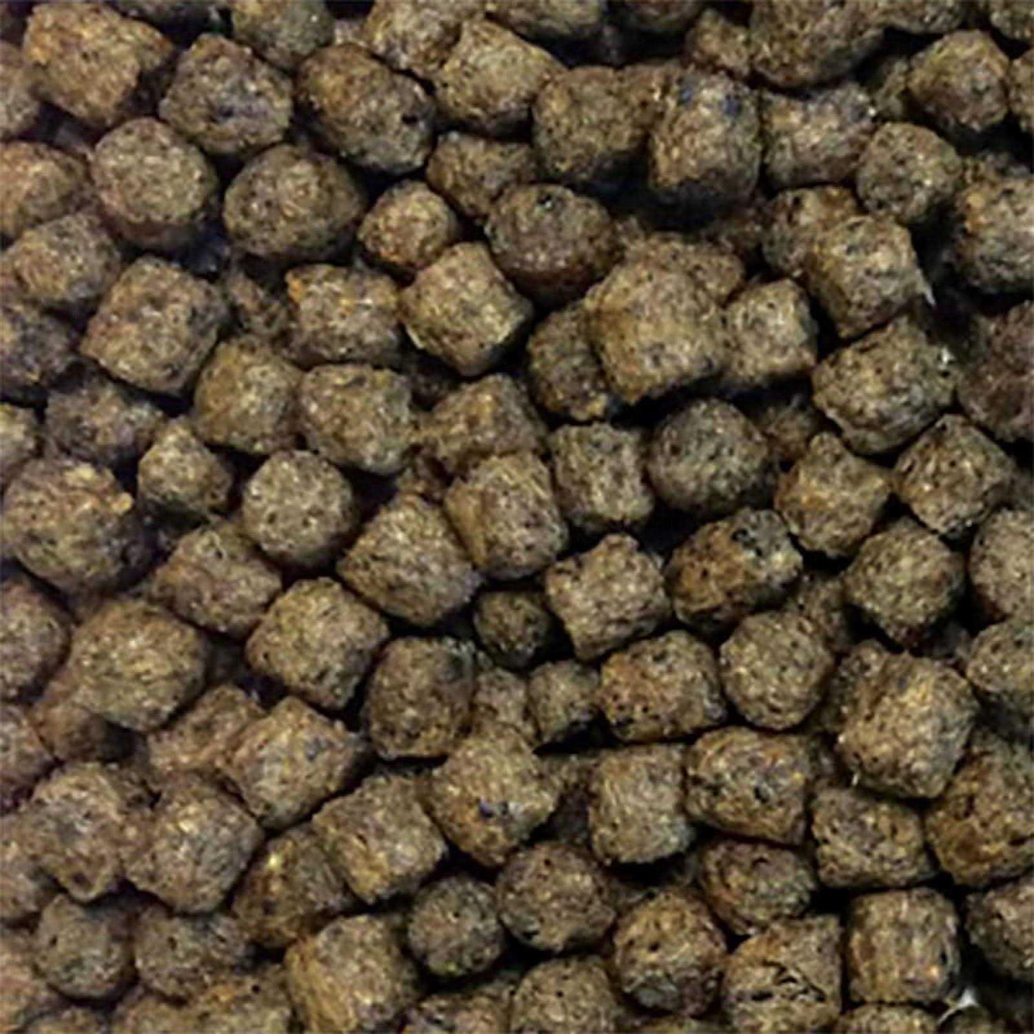 The Pond Guy Staple Fish Food - Nail Gallerys