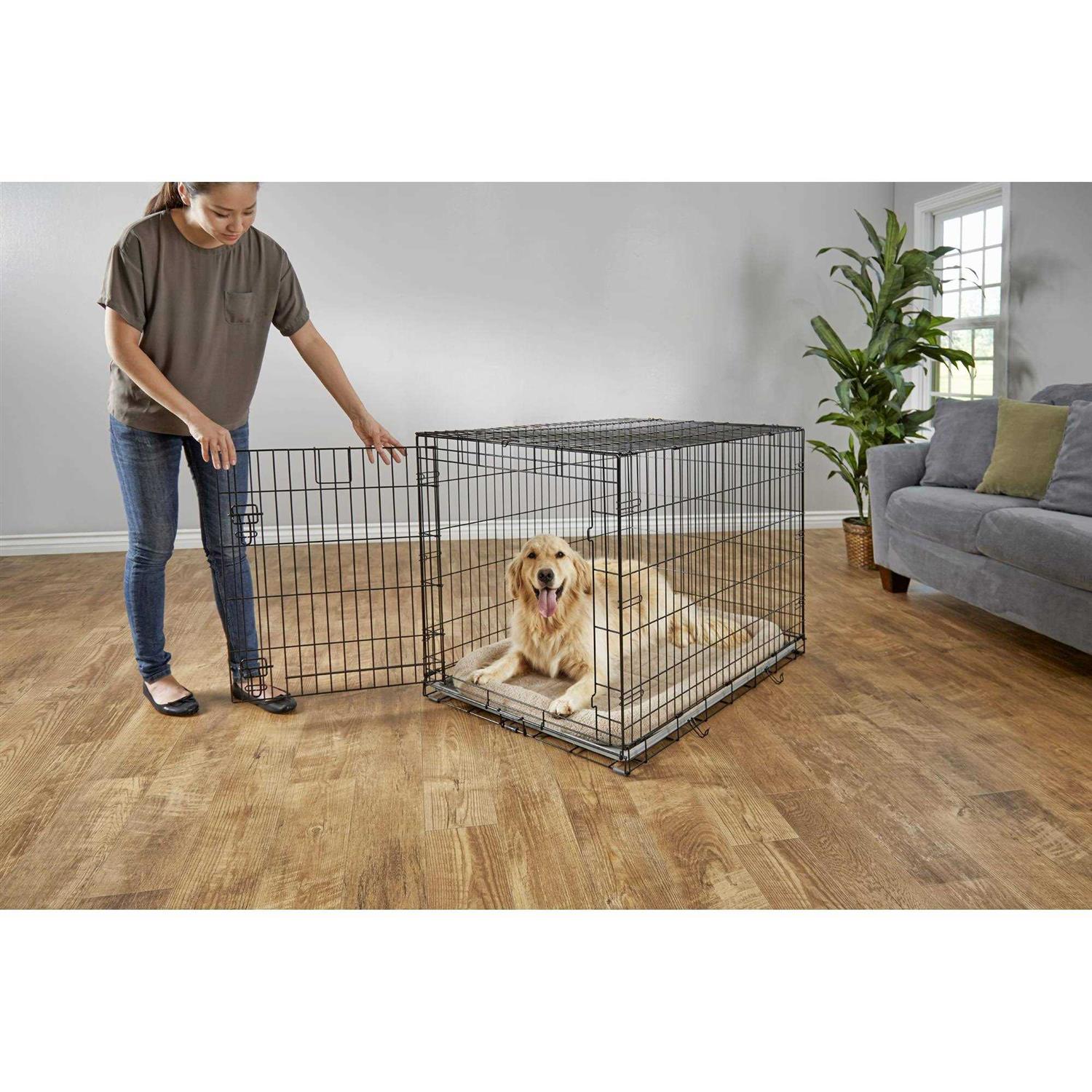 EveryYay Dog Crate - Nail Gallerys