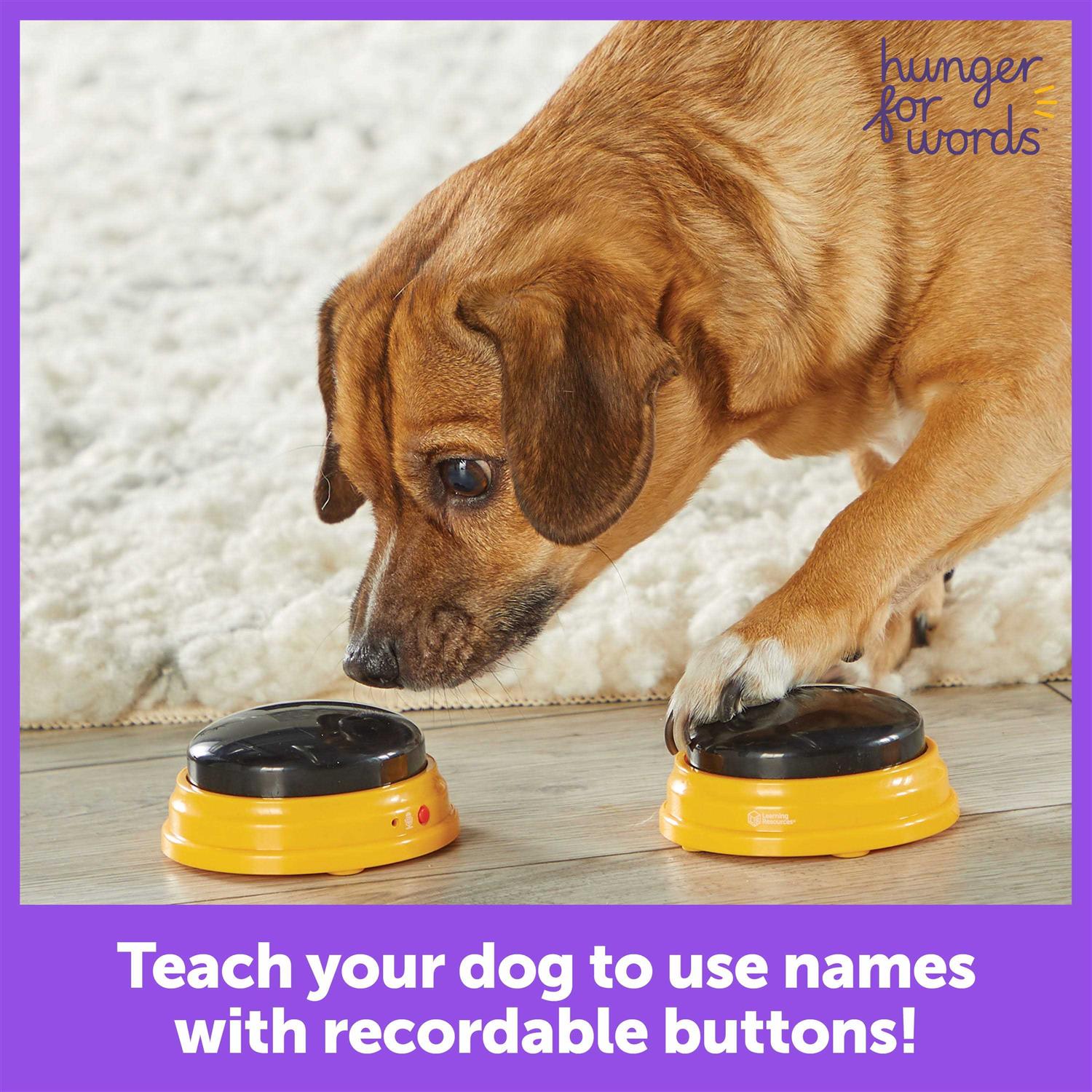 Hunger for Words Talking Pet Next Words - Nail Gallerys