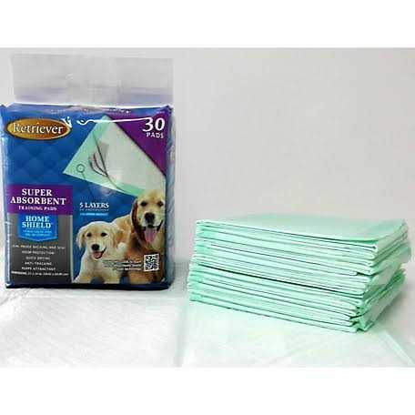 Retriever Super Absorbent Dog Training Pads with Home Shield - Nail Gallerys