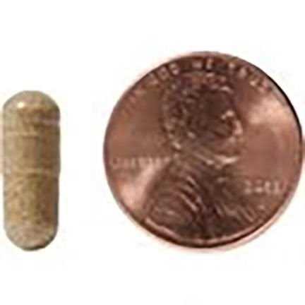 Natura Petz Organics Starter Pack Homeopathic Medicine for Urinary Tract Infections UTI for Dogs - Nail Gallerys