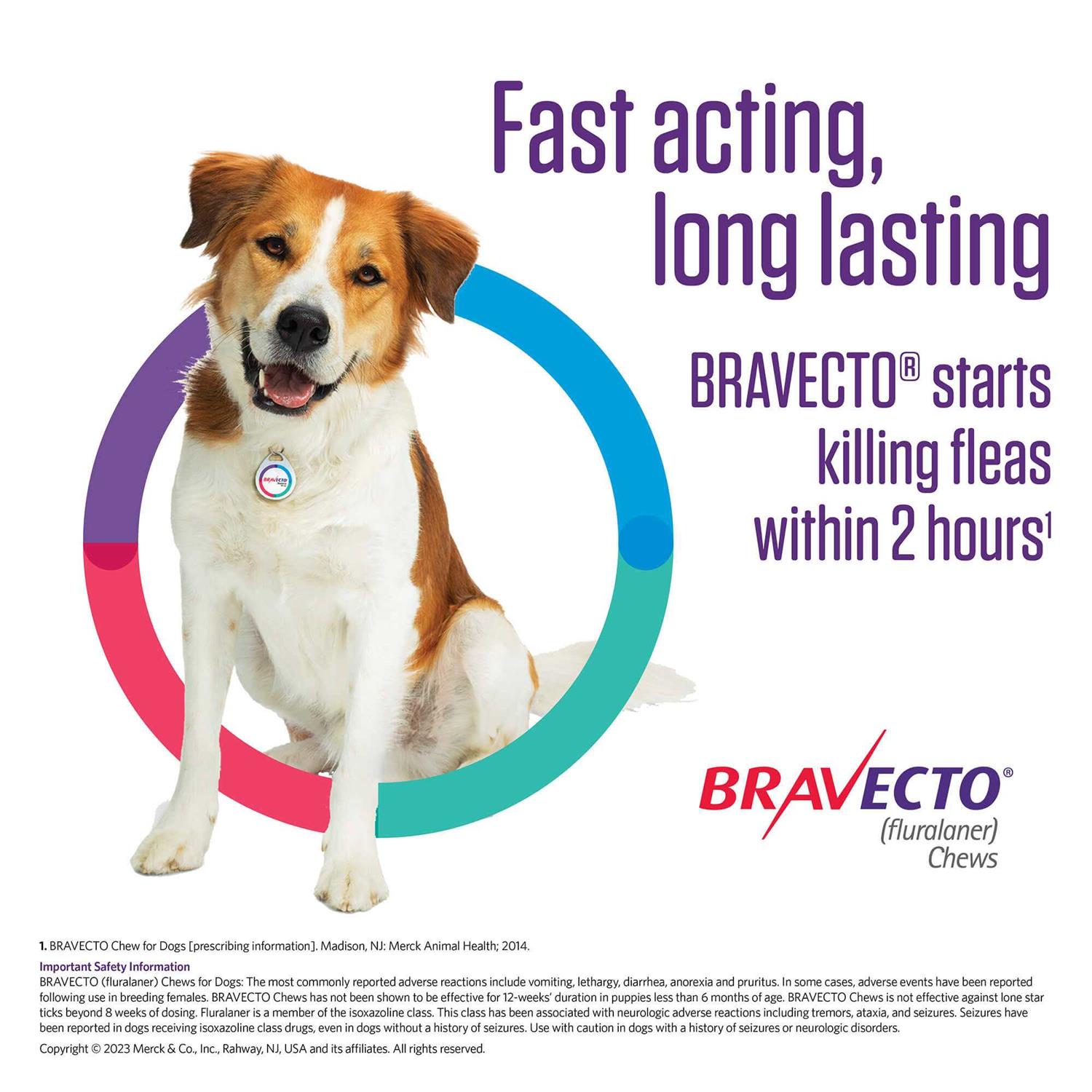 Bravecto Chew for Dogs 88-123 lbs - Nail Gallerys