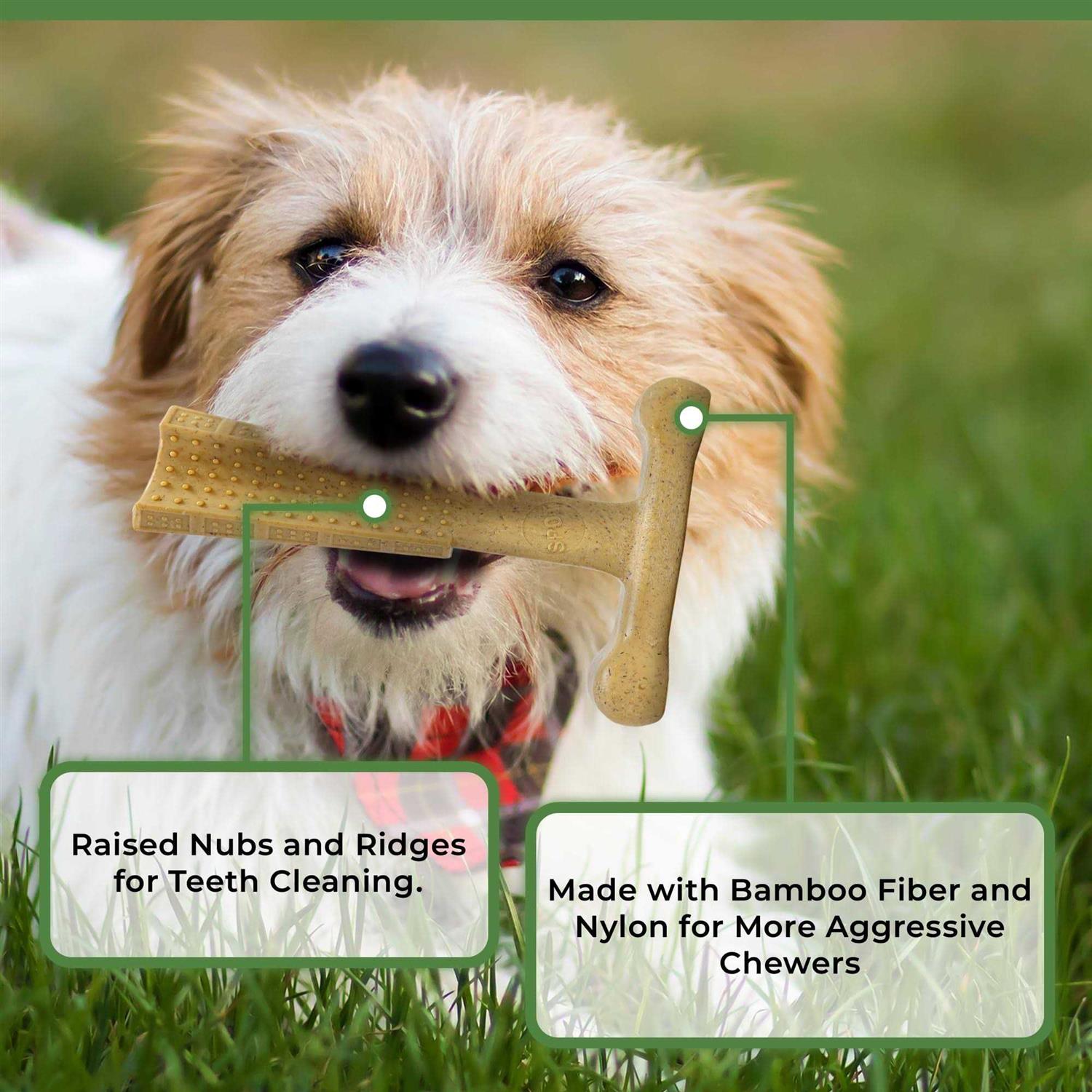 Spot 6-inch Chicken Bambone Plus Dog Chew - Nail Gallerys