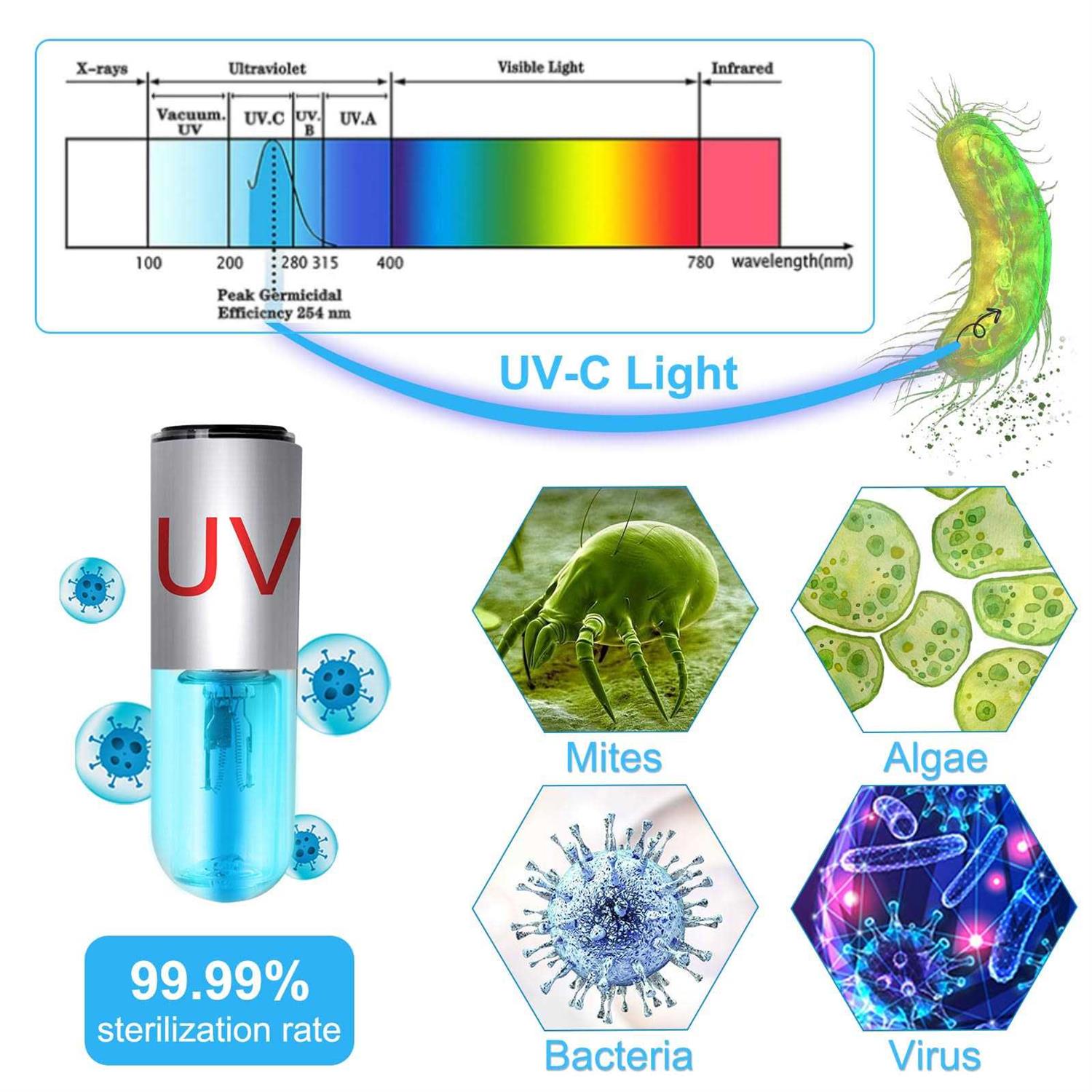 JAHEA Aquarium Clean Light,3 W Mini &13W UV Sanitizer Submersible Light with U-V Test Card,Aquarium Water Clean Green Clear Waterproof Clean Lamp - Nail Gallerys
