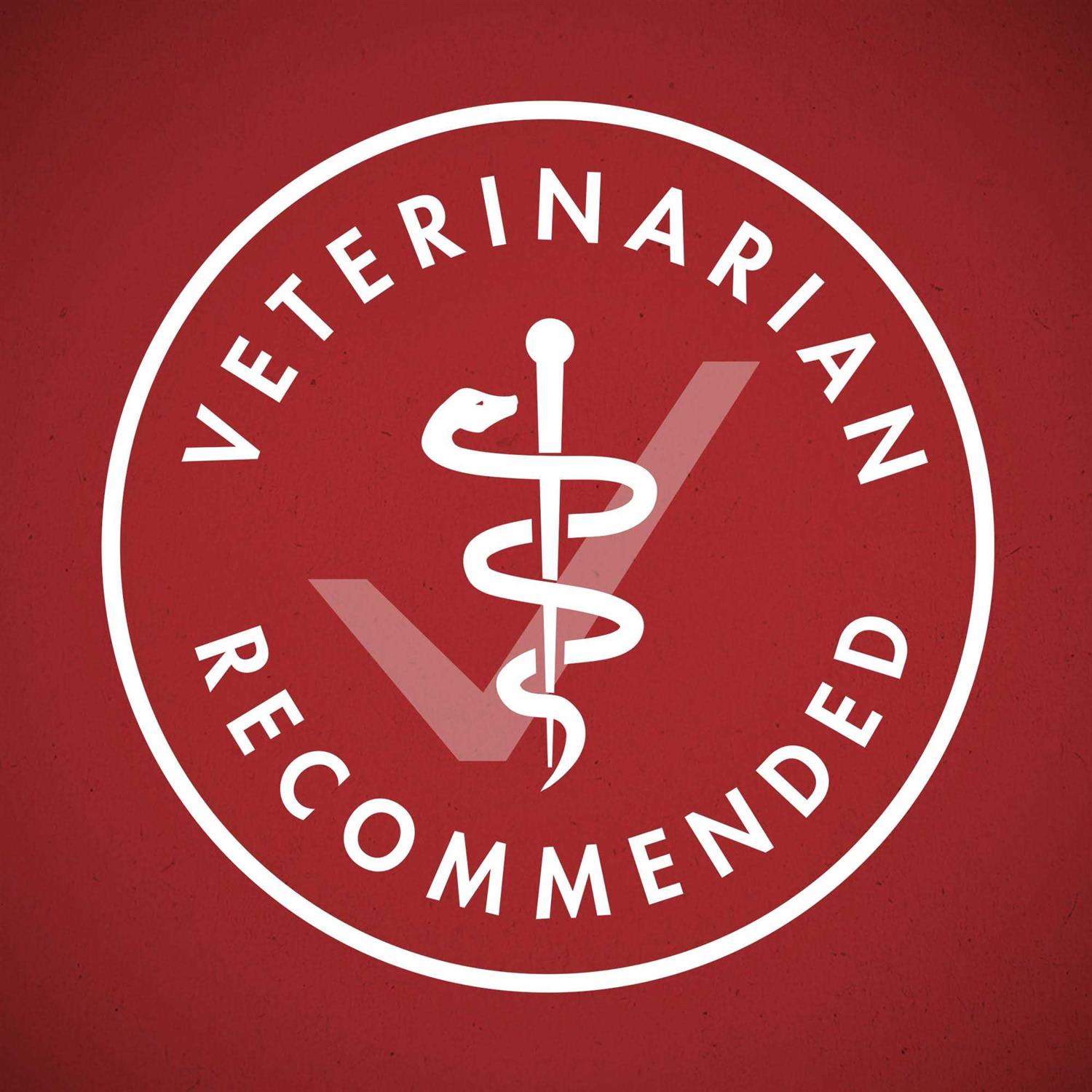 Purina ONE SmartBlend Classic Healthy Puppy Ground Lamb & Long Grain Rice Canned Dog Food - Nail Gallerys