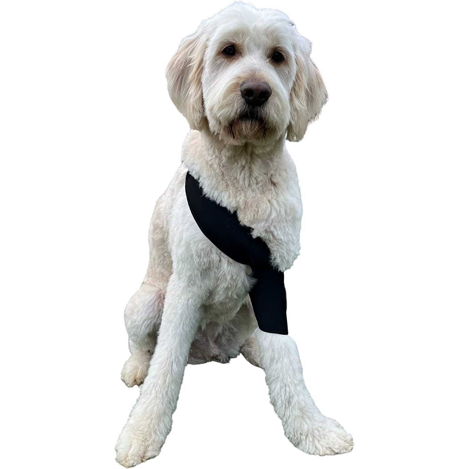 Labra Canine Shoulder Elbow Brace Leg Dog Wrap - Nail Gallerys