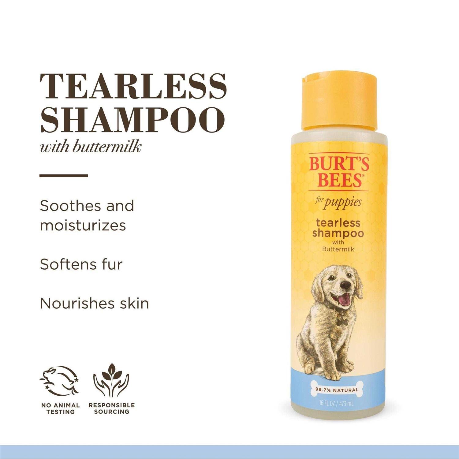 Burt’s Bees Tearless Shampoo with Buttermilk - Nail Gallerys