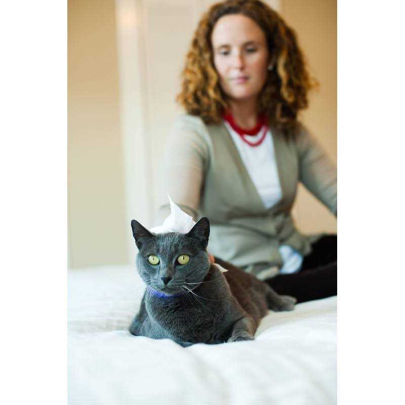 VetWELL Ketowell Topical Wipes with Ketoconazole for Dogs & Cats Medicated Pet Wipes - Nail Gallerys