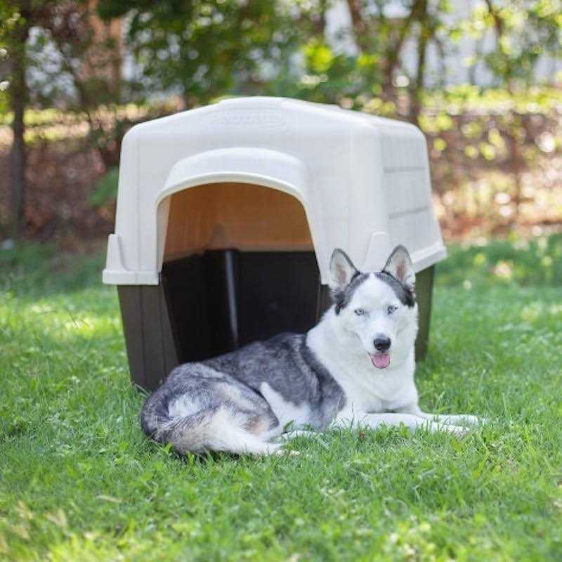 Petmate Barnhome III - Nail Gallerys