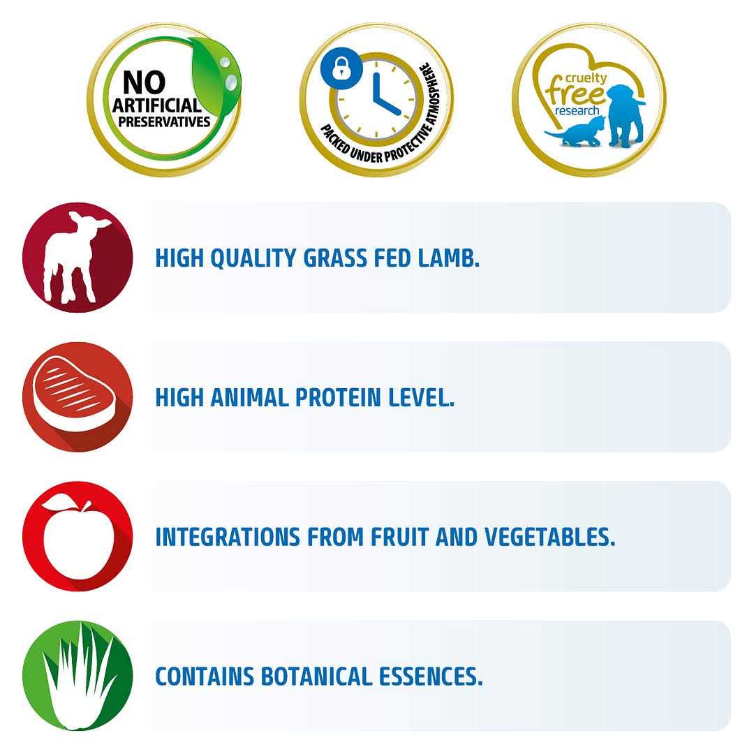 Farmina N&D Prime Grain Free Cat Dry Food Lamb & Blueberry - Nail Gallerys