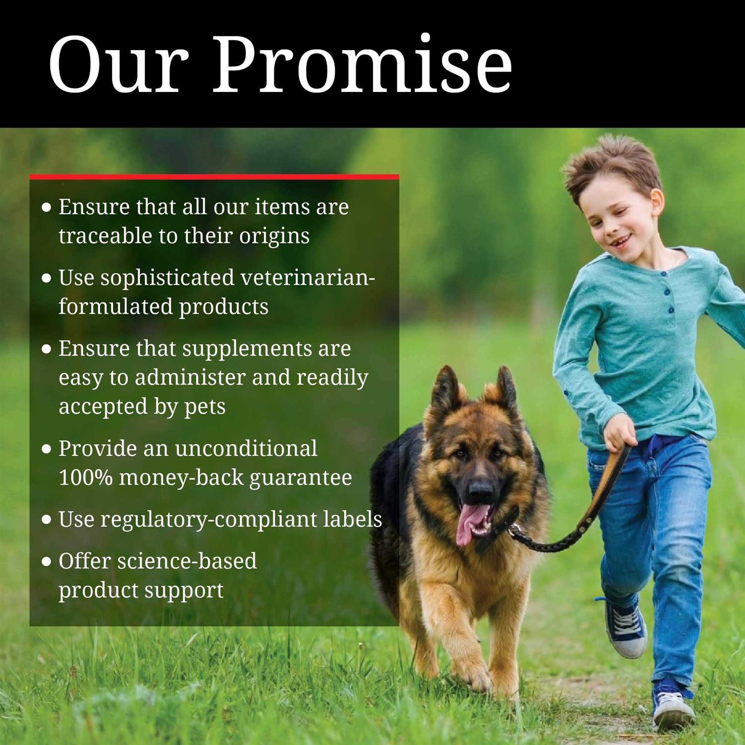 Nutri-Vet Hip & Joint Paw-Gel for Cats 3 oz - Nail Gallerys