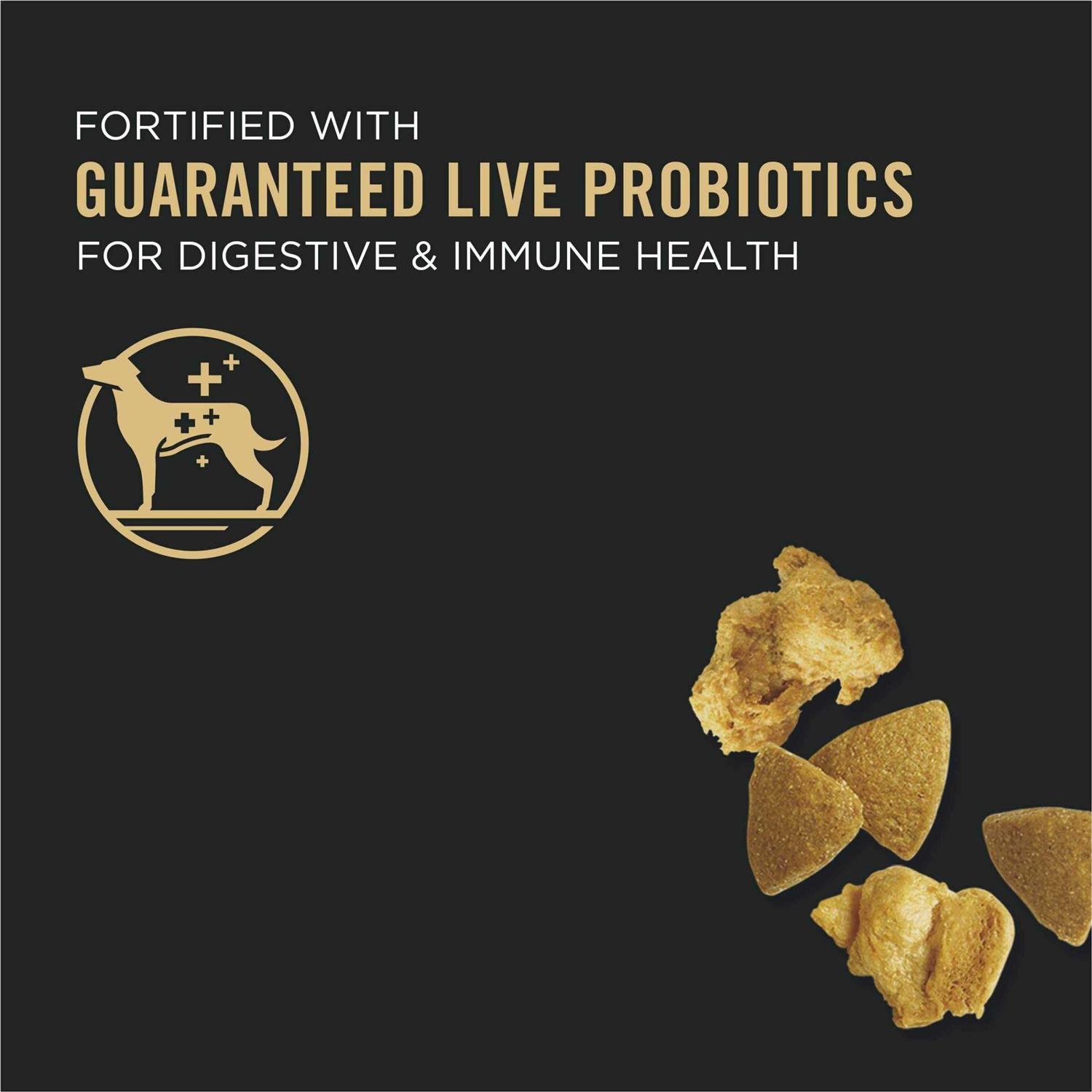 Purina Pro Plan Dog Food Shredded Blend - Nail Gallerys