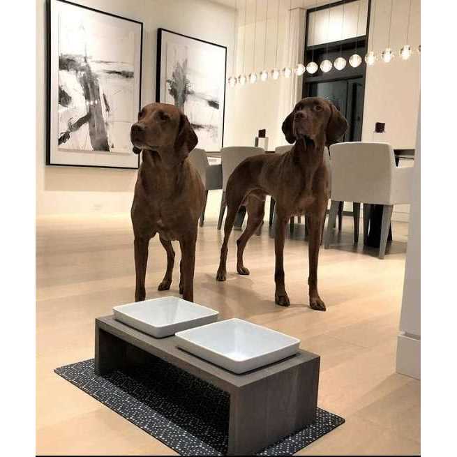 Bowsers Artisan Double Dog Feeder - Nail Gallerys