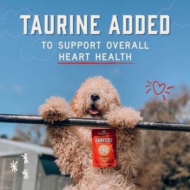 Stella & Chewy’s Dog Shredrs Chicken - Nail Gallerys