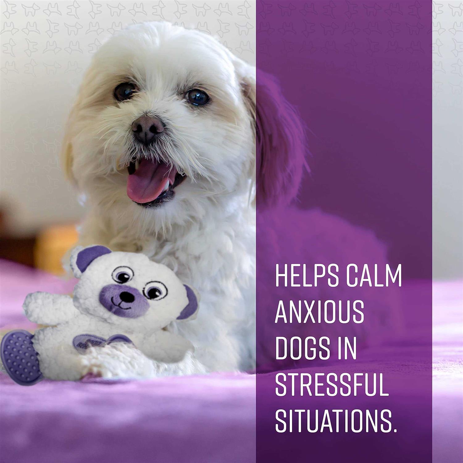 Sentry Calming Toy for Dogs - Nail Gallerys