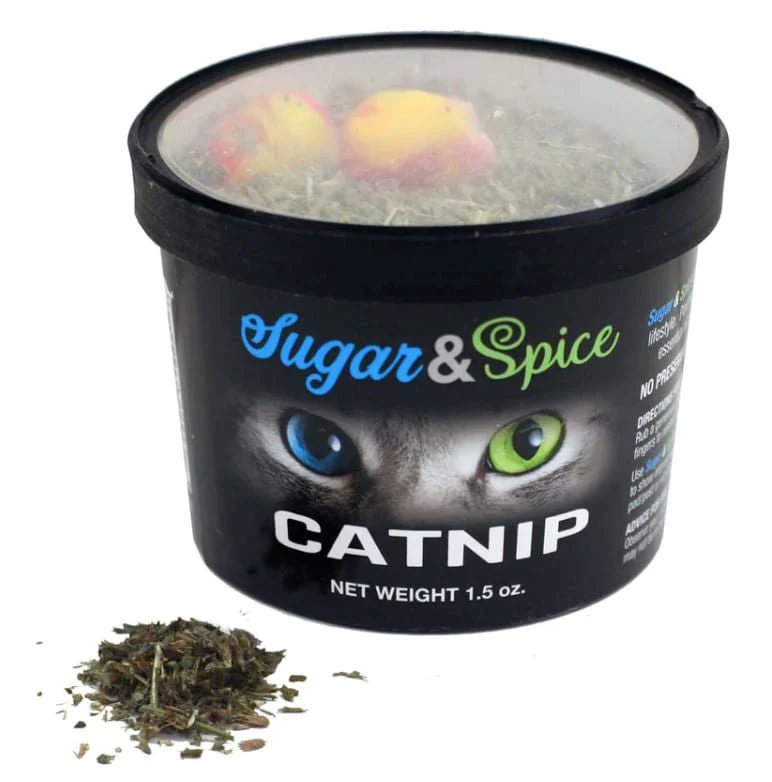 Chewmax Sugar & Spice Catnip - Nail Gallerys