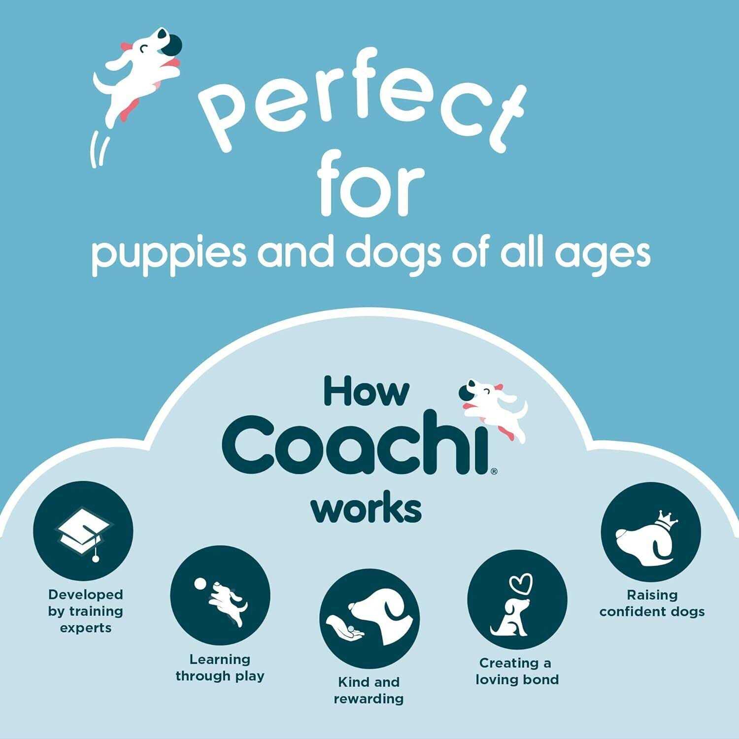 Coachi Dog Training Target Stick - Nail Gallerys