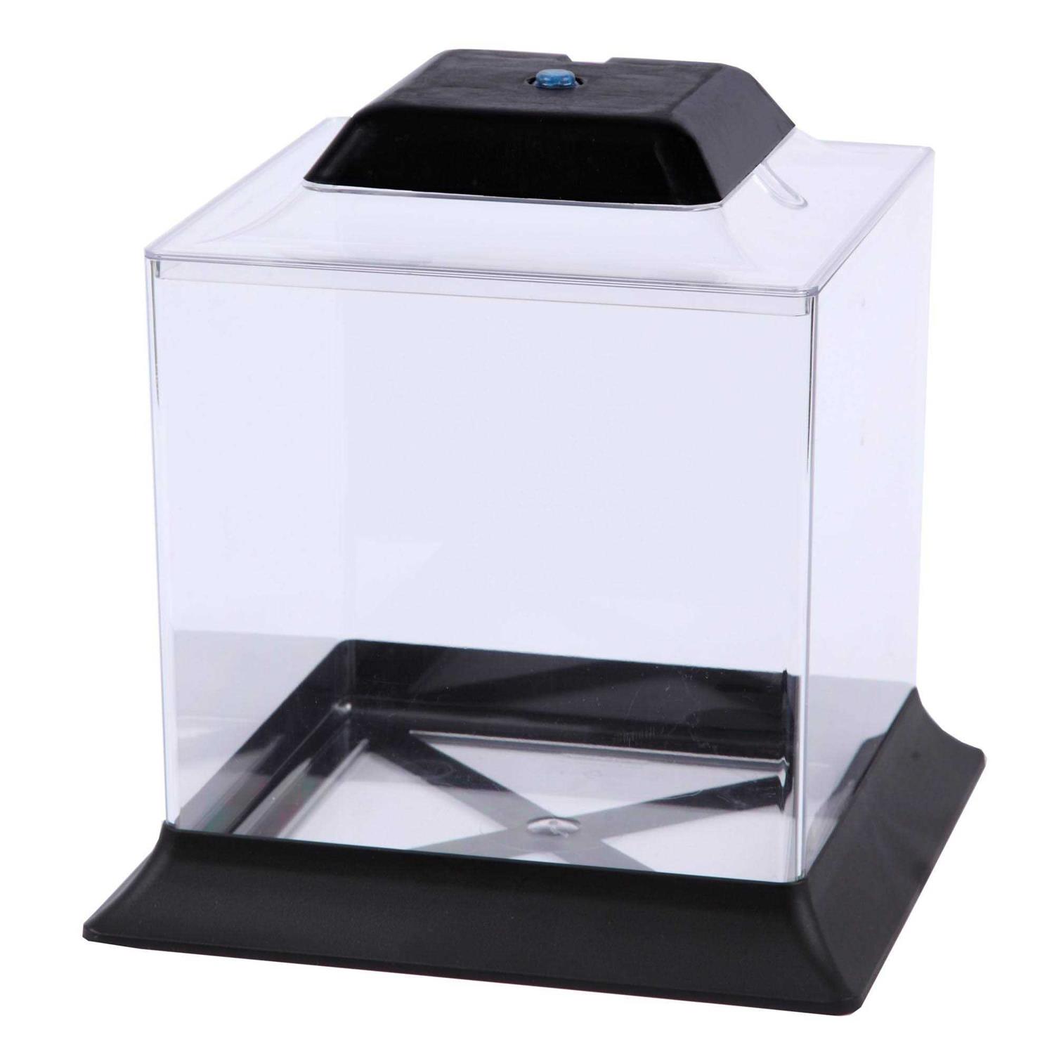 Imagitarium 1.4 Gallon Betta Aquarium - Nail Gallerys